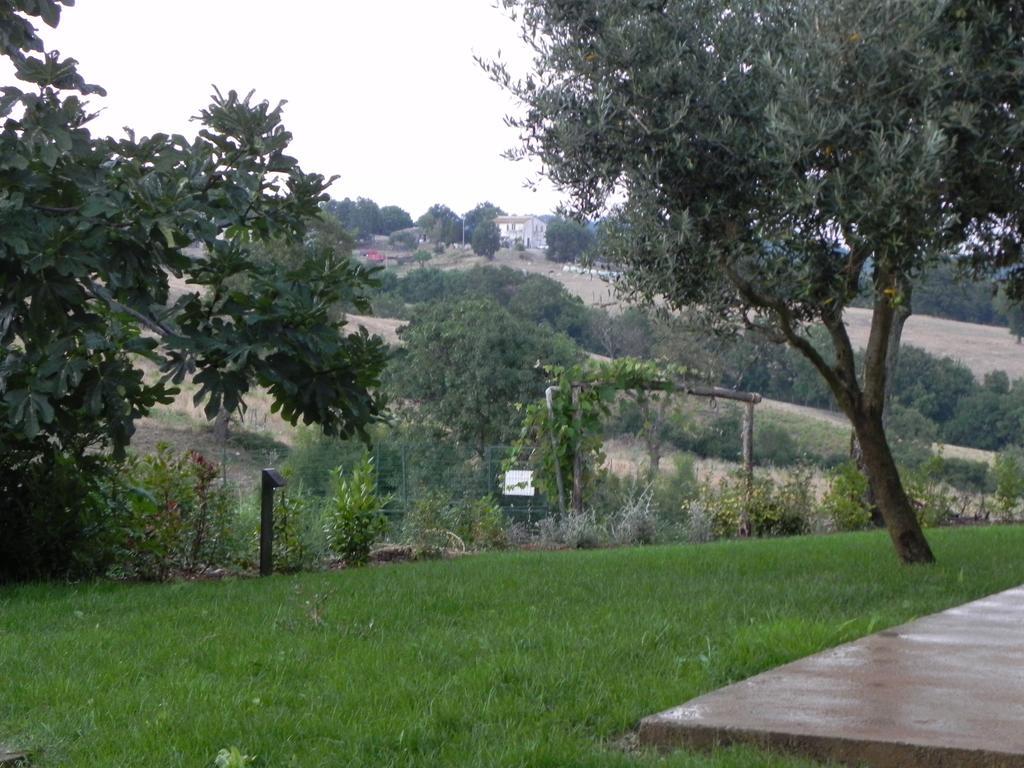 Agriturismo Sugheretello 셈프로니아노 외부 사진