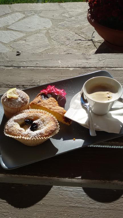 Agriturismo Sugheretello 셈프로니아노 외부 사진